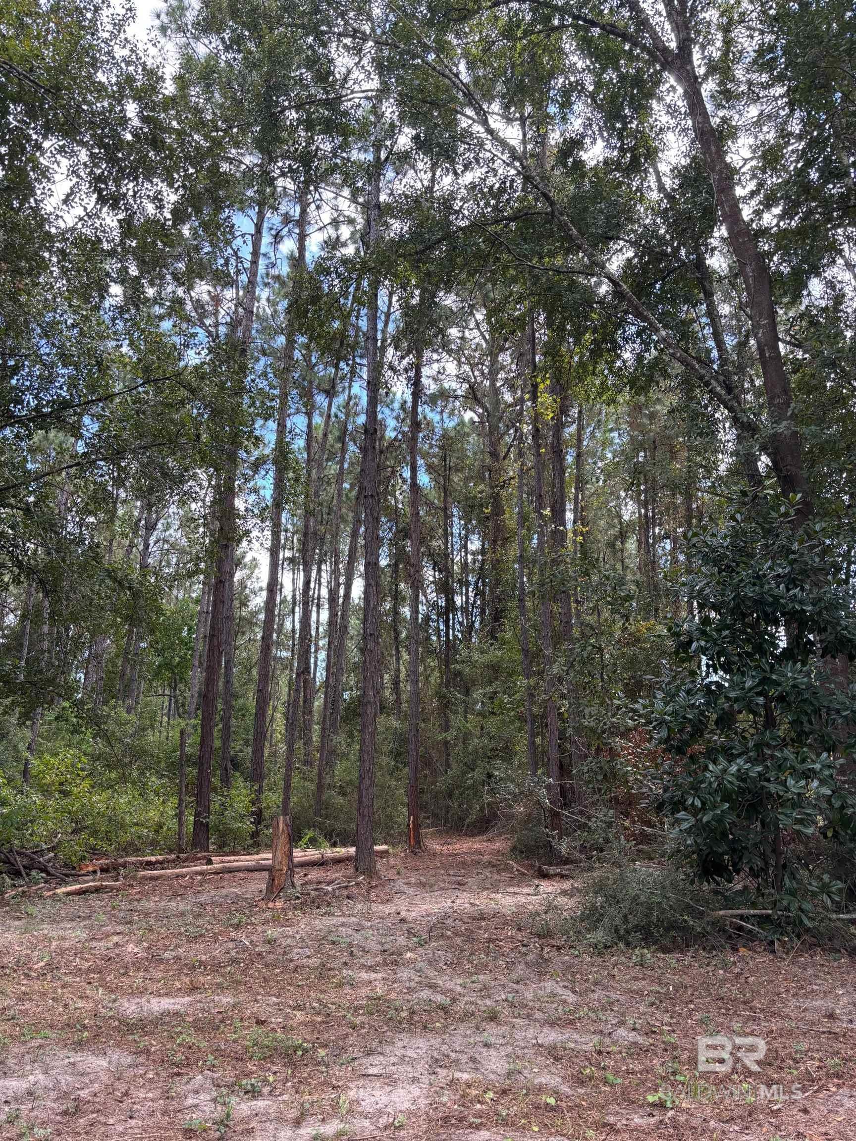 Land For Sale in Foley AL