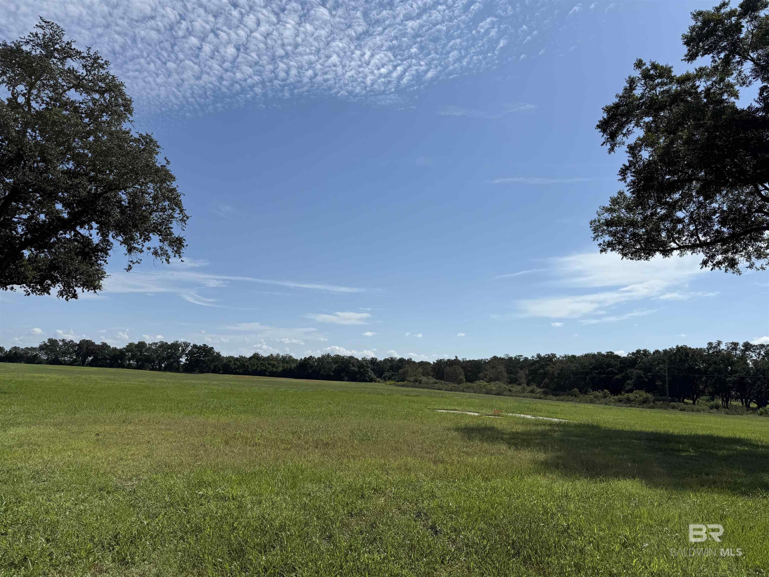 Homes for Sale in Foley - Foley AL