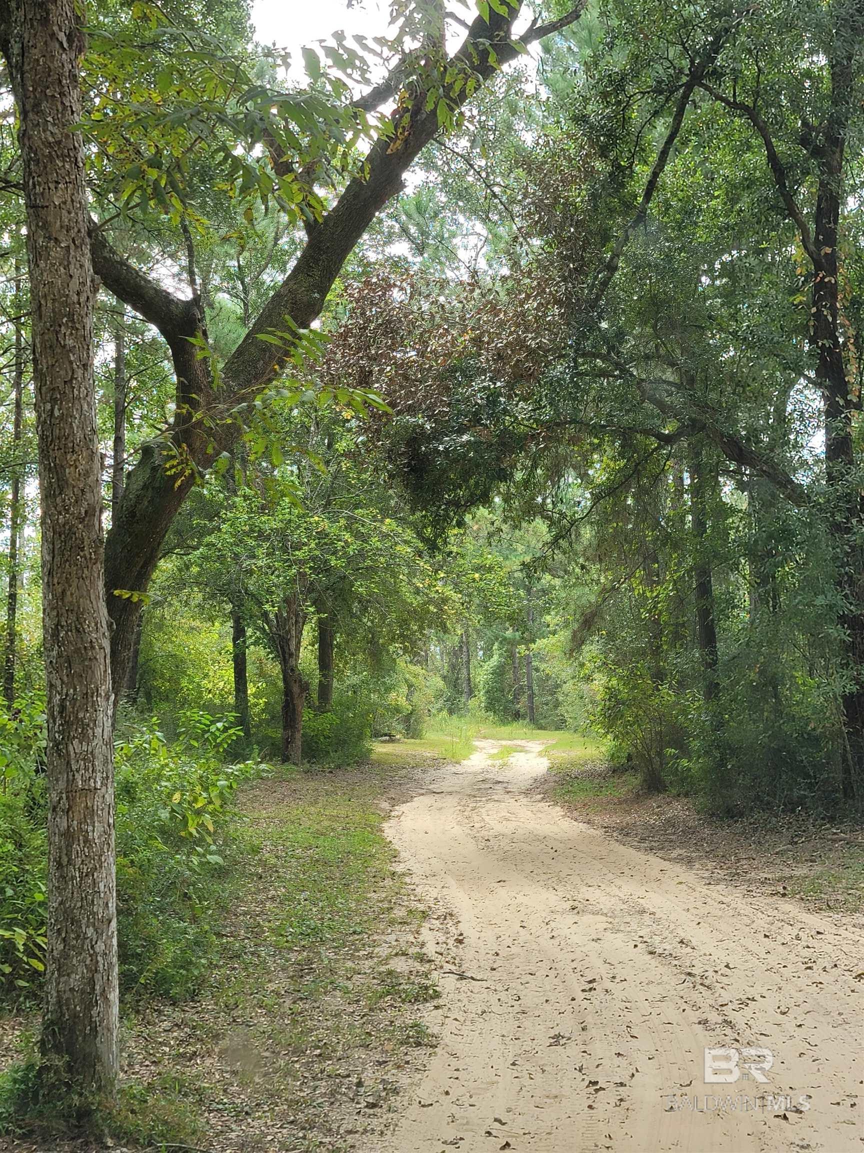 Elberta AL Real Estate