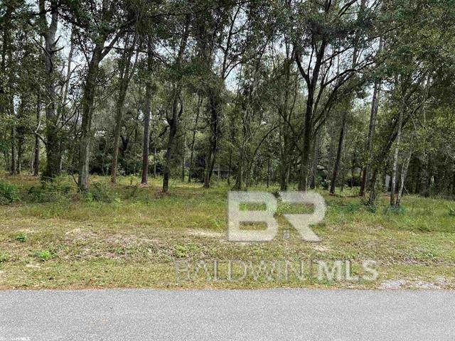 <p>Map of the area</p>