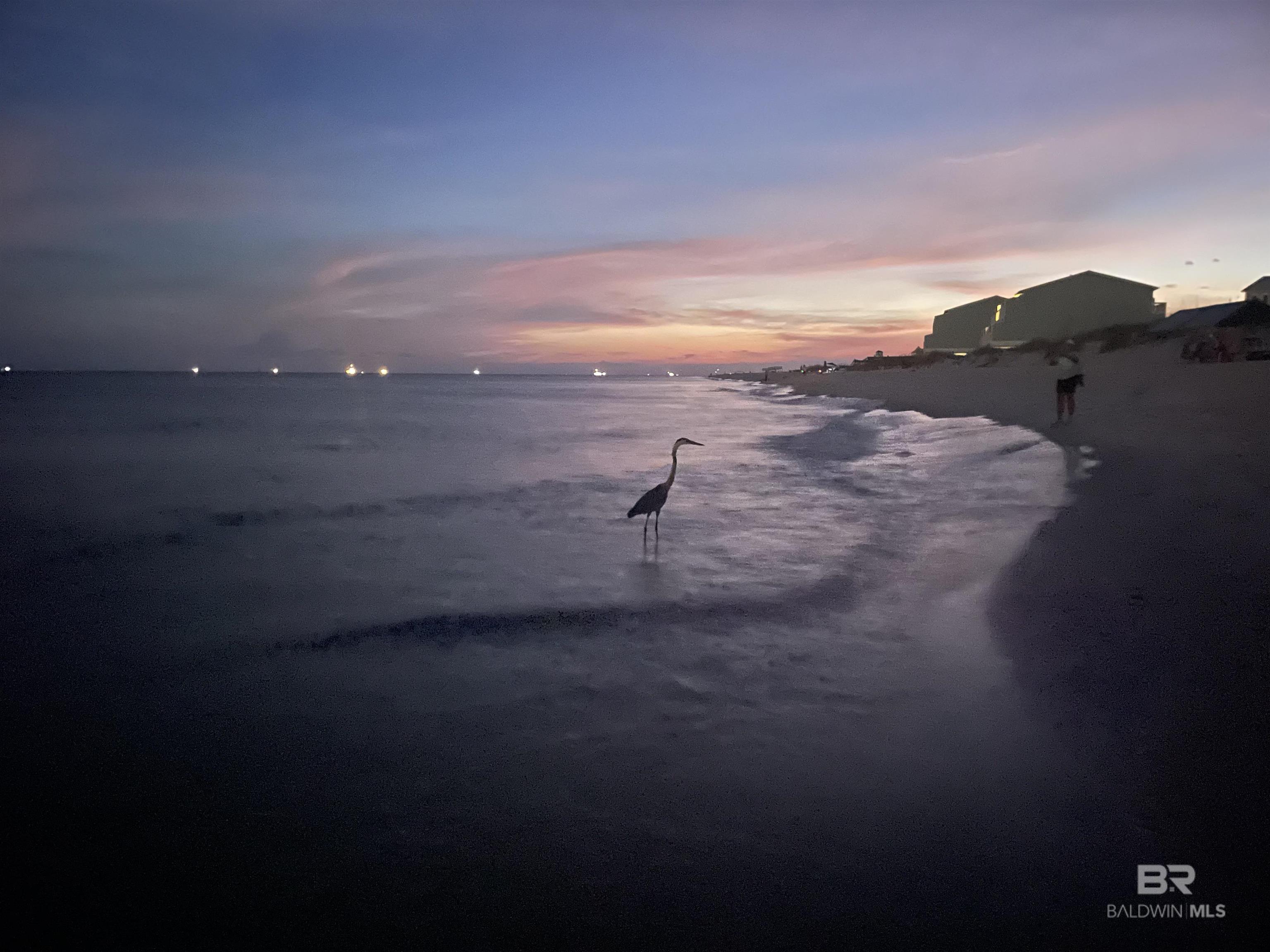 450 S Breakers Lane, Gulf Shores, AL, 36542