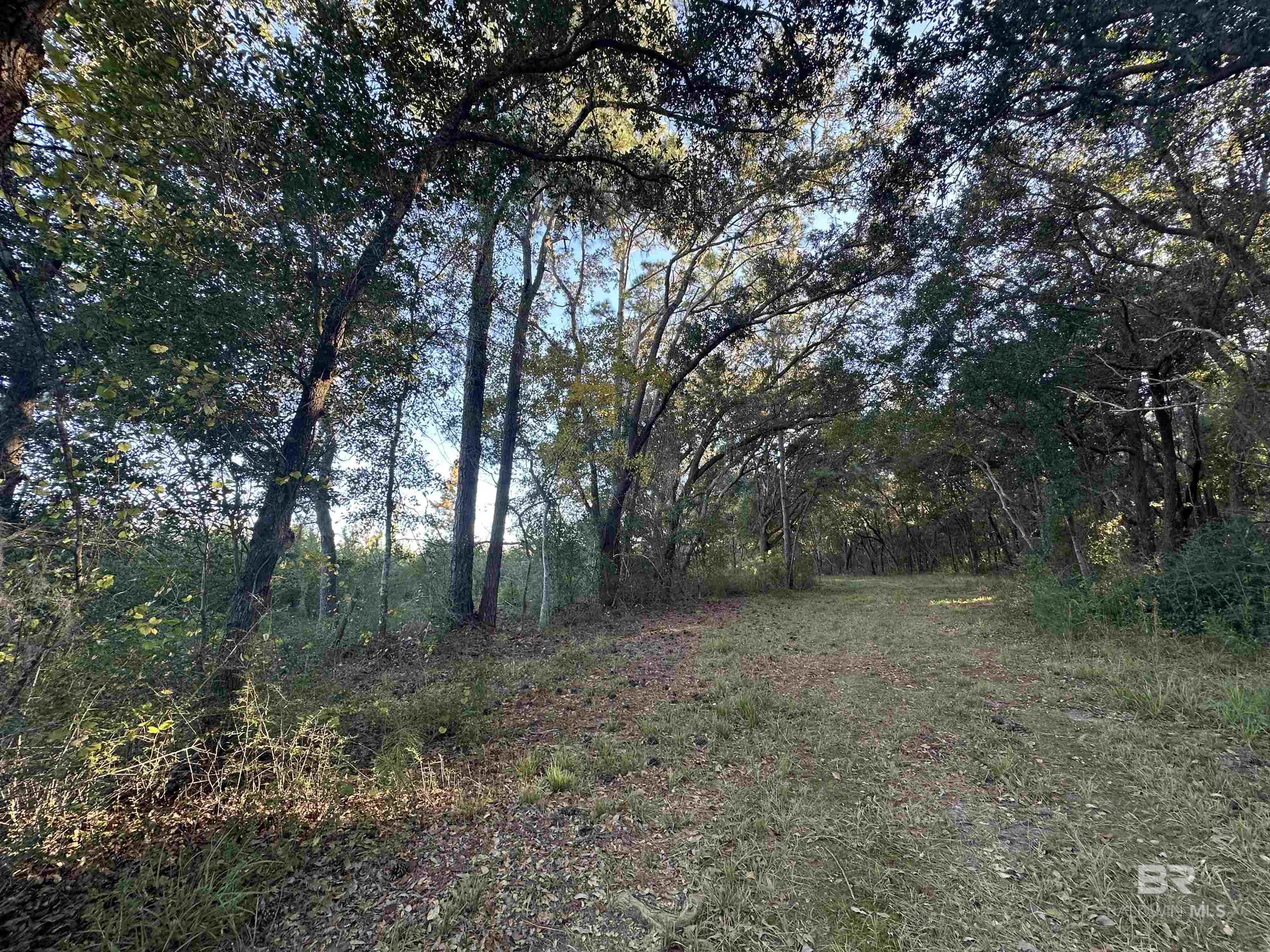 Land For Sale in Foley AL