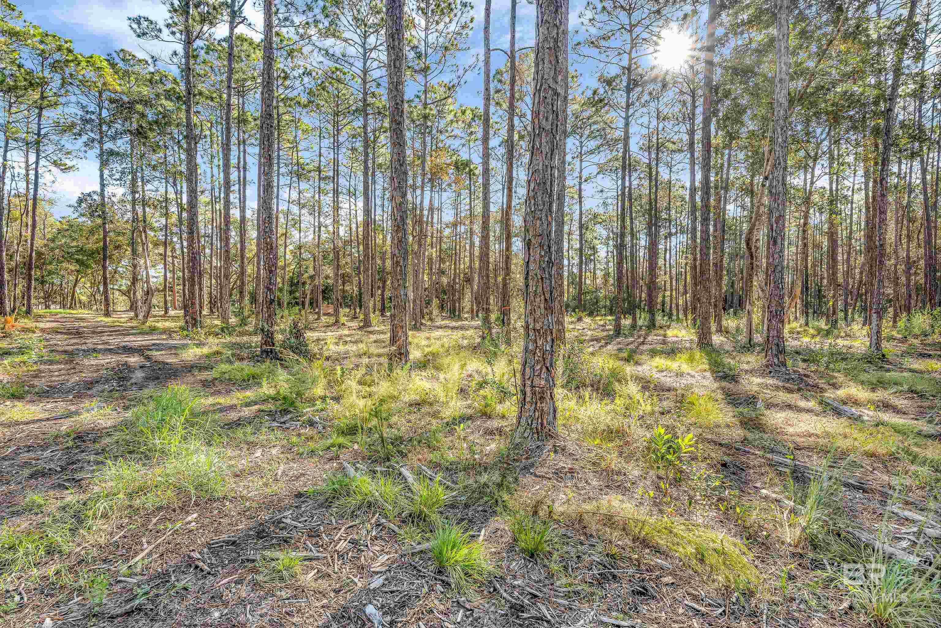 Land For Sale in Foley AL