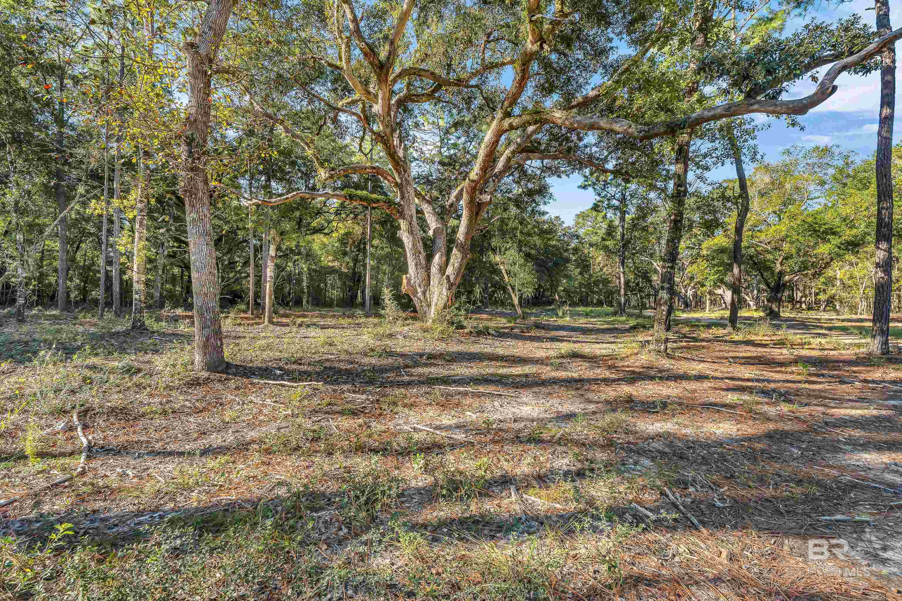 Land For Sale in Foley AL