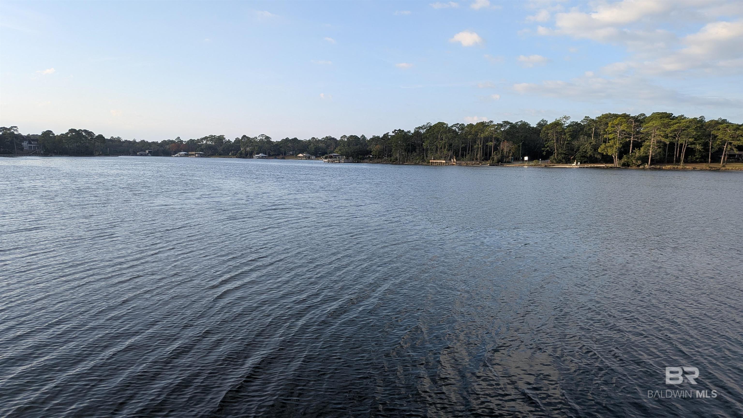 Lillian AL Real Estate