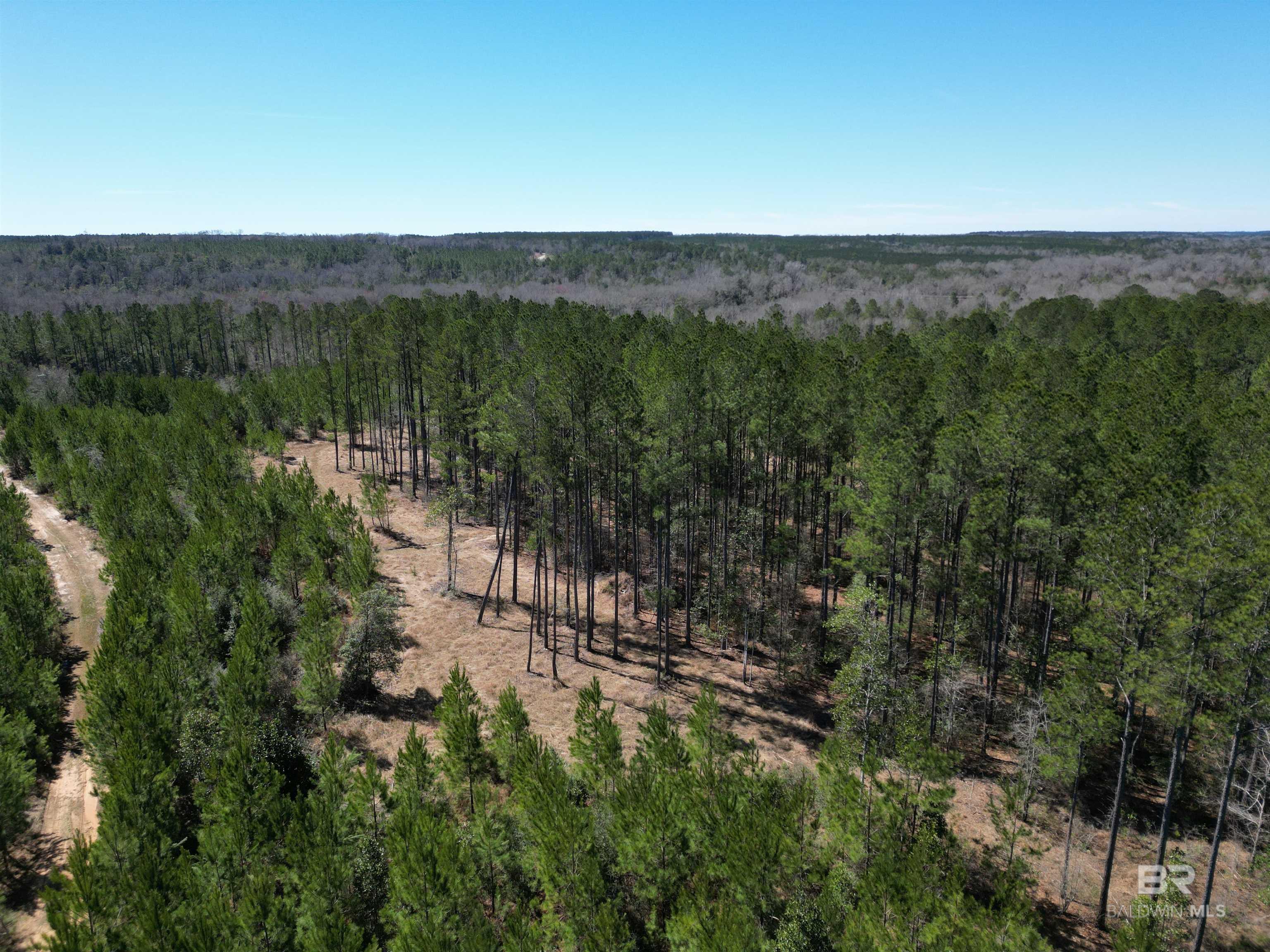 Homes for sale in Atmore, AL | 9 Robinsonville Road, Atmore, AL 36502 | MLS# 390193