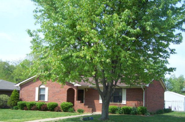 4704 King Mills Drive, Owensboro, Kentucky 42303, 2 Bedrooms Bedrooms, ,2 BathroomsBathrooms,Single Family Residence,For Sale,King Mills Drive,67191