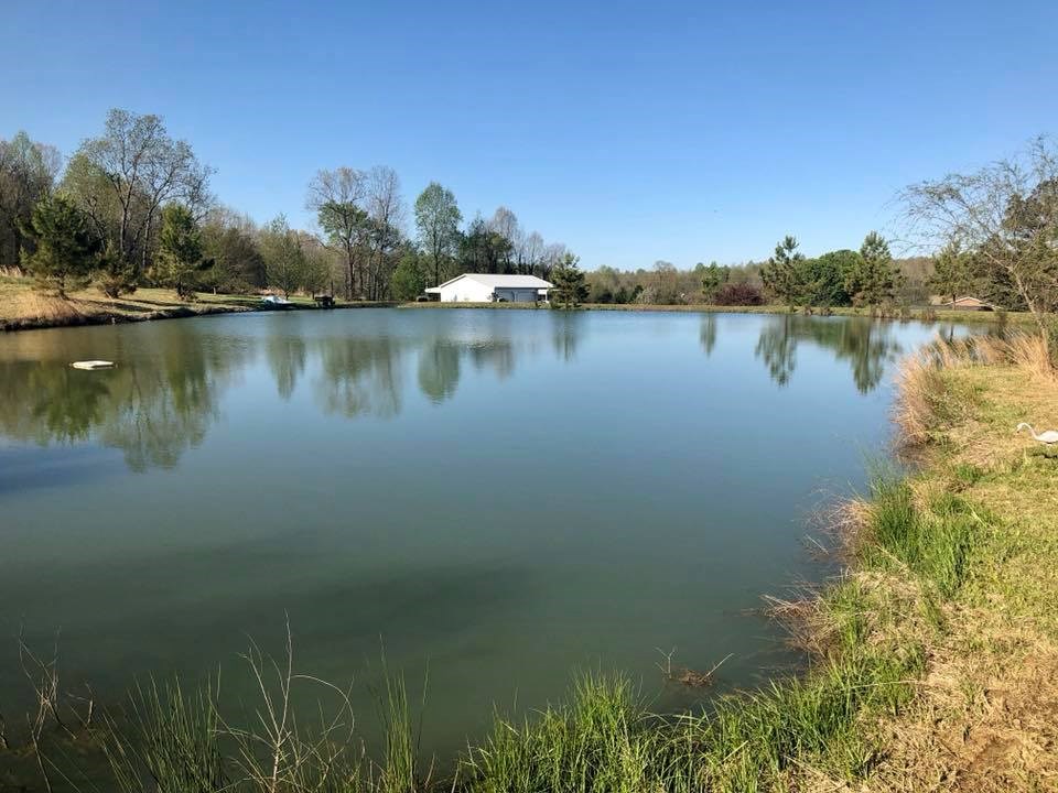 2667 Taffy Road, Hartford, Kentucky 42347, 3 Bedrooms Bedrooms, ,2 BathroomsBathrooms,Single Family Residence,For Sale,Taffy Road,75072
