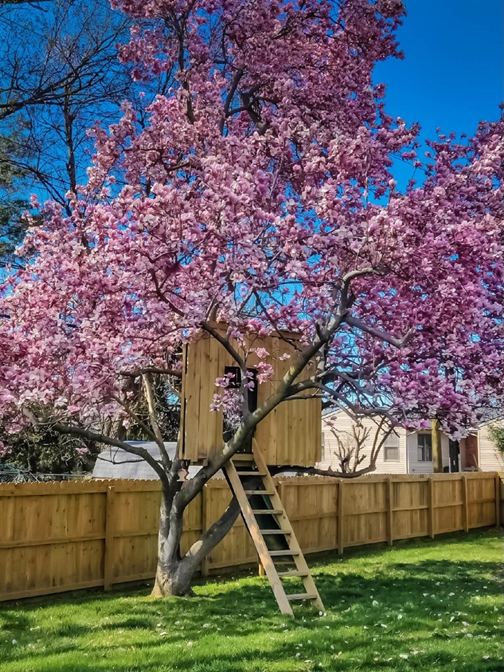 2265 Hoop Jr Court, Owensboro, Kentucky 42301, 4 Bedrooms Bedrooms, ,2 BathroomsBathrooms,Single Family Residence,For Sale,Hoop Jr Court,81452