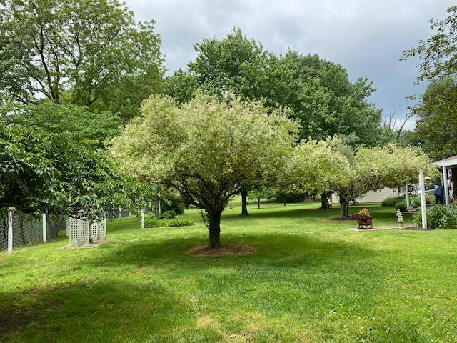 5253 Hwy 136 (aka Livermore Rd), Hartford, Kentucky 42347, 4 Bedrooms Bedrooms, ,3 BathroomsBathrooms,Single Family Residence,For Sale,Hwy 136 (aka Livermore Rd),84155
