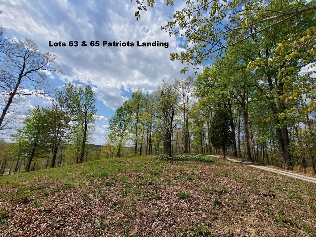 63-65 Patriots Landing Ln., Falls of Rough, Kentucky 40119, ,Land,For Sale,Patriots Landing Ln.,84797