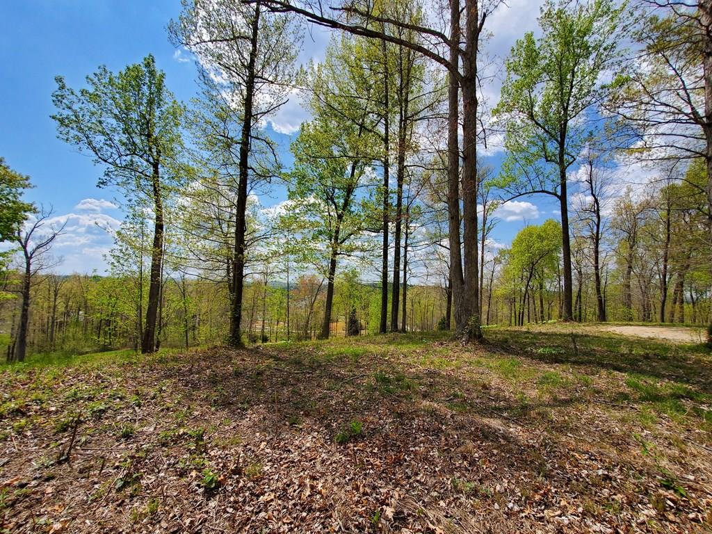 63-65 Patriots Landing Ln., Falls of Rough, Kentucky 40119, ,Land,For Sale,Patriots Landing Ln.,84797