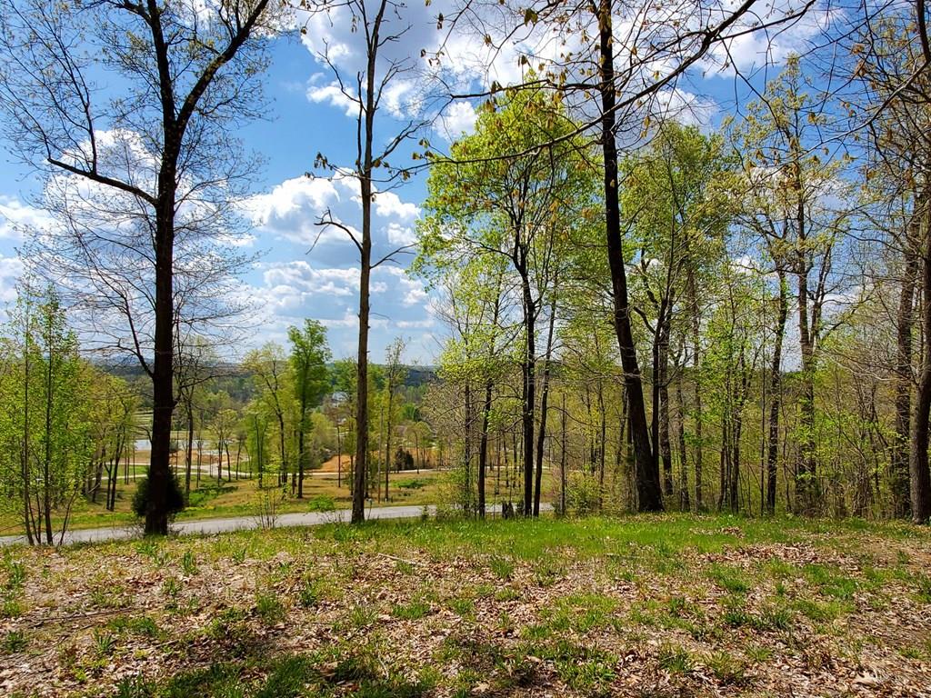 63-65 Patriots Landing Ln., Falls of Rough, Kentucky 40119, ,Land,For Sale,Patriots Landing Ln.,84797