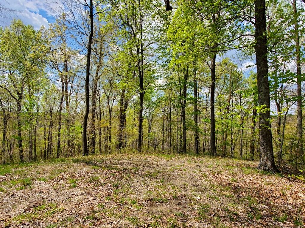 63-65 Patriots Landing Ln., Falls of Rough, Kentucky 40119, ,Land,For Sale,Patriots Landing Ln.,84797