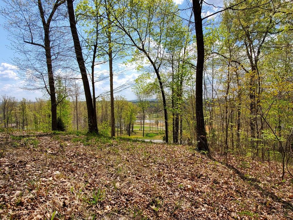 63-65 Patriots Landing Ln., Falls of Rough, Kentucky 40119, ,Land,For Sale,Patriots Landing Ln.,84797