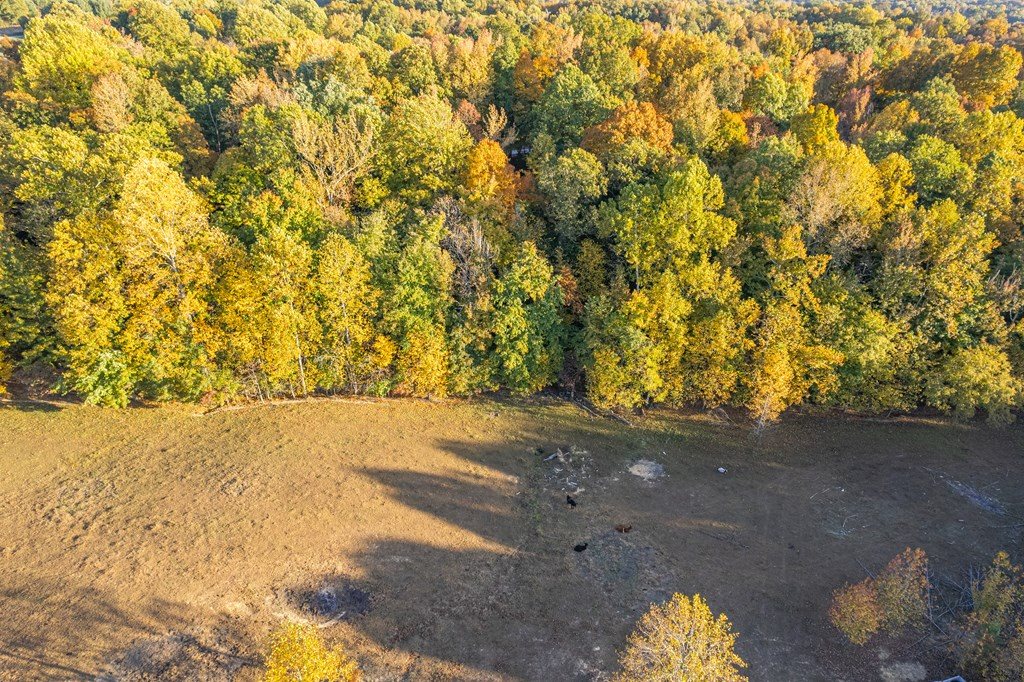 313 North Indian Hill Rd, Hawesville, Kentucky 42348, 4 Bedrooms Bedrooms, ,2 BathroomsBathrooms,Single Family Residence,For Sale,North Indian Hill Rd,85547