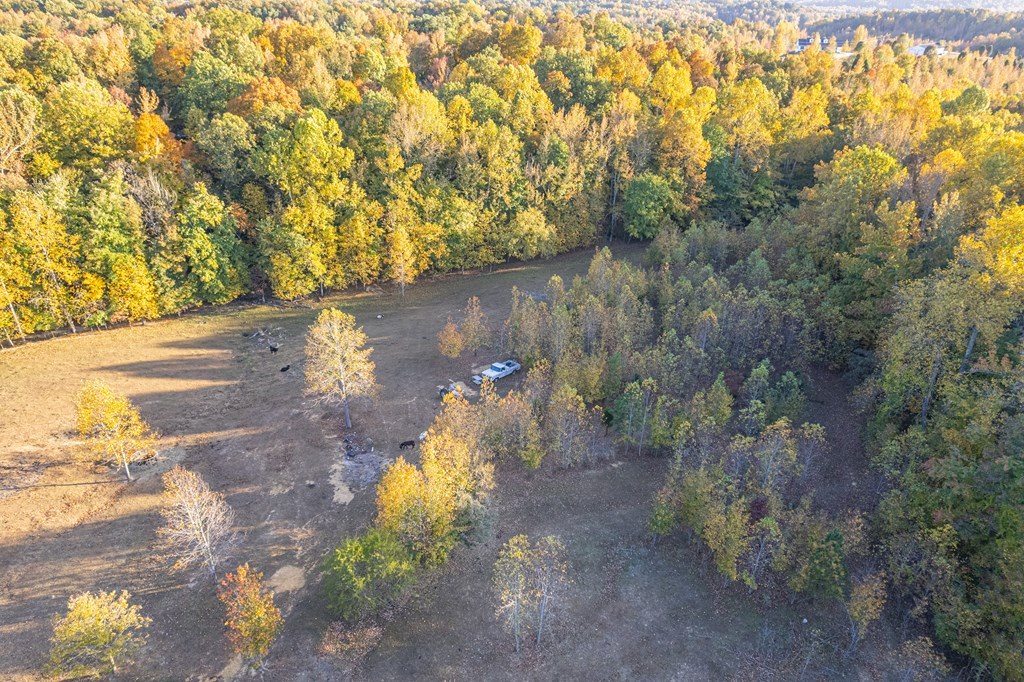 313 North Indian Hill Rd, Hawesville, Kentucky 42348, 4 Bedrooms Bedrooms, ,2 BathroomsBathrooms,Single Family Residence,For Sale,North Indian Hill Rd,85547