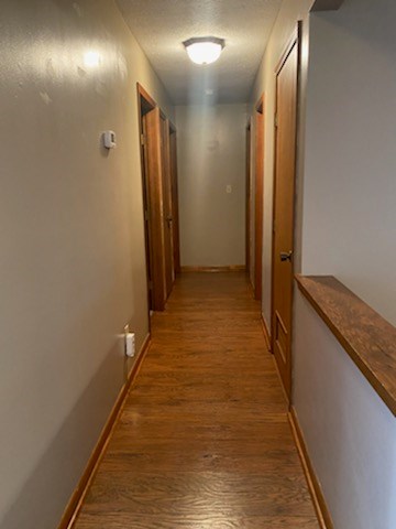 4316 Scotty Lane, Owensboro, Kentucky 42303, 3 Bedrooms Bedrooms, ,2 BathroomsBathrooms,Single Family Residence,For Sale,Scotty Lane,85556