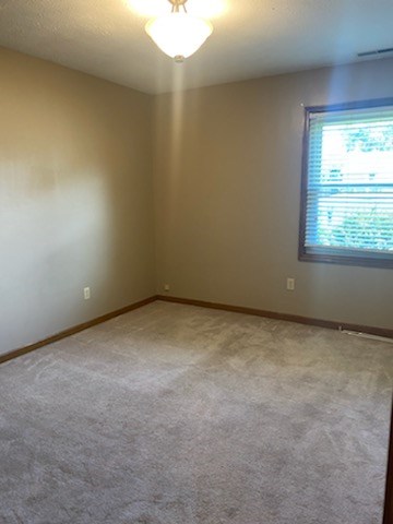 4316 Scotty Lane, Owensboro, Kentucky 42303, 3 Bedrooms Bedrooms, ,2 BathroomsBathrooms,Single Family Residence,For Sale,Scotty Lane,85556