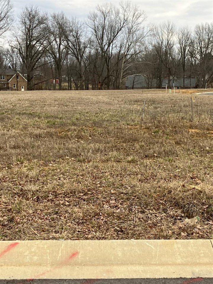 4991 Bridgewood, Owensboro, Kentucky 42303, ,Land,For Sale,Bridgewood,86328