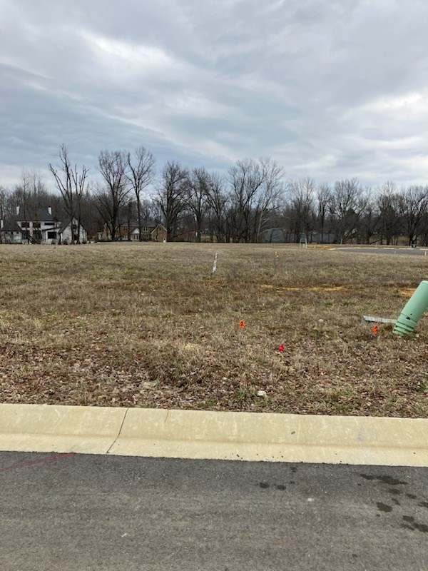 4991 Bridgewood, Owensboro, Kentucky 42303, ,Land,For Sale,Bridgewood,86328