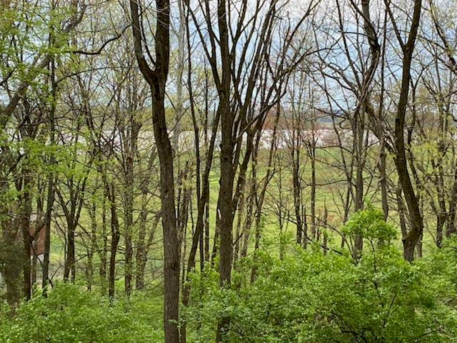 302 Center Street, Rockport, IN, Indiana 47635, 3 Bedrooms Bedrooms, ,3 BathroomsBathrooms,Single Family Residence,For Sale,Center Street,86701