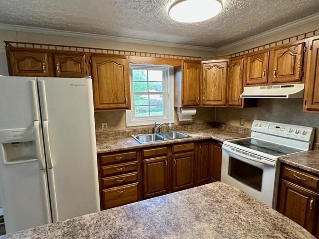 8460 Richland Road, Livermore, Kentucky 42352, 3 Bedrooms Bedrooms, ,1 BathroomBathrooms,Single Family Residence,For Sale,Richland Road,86764