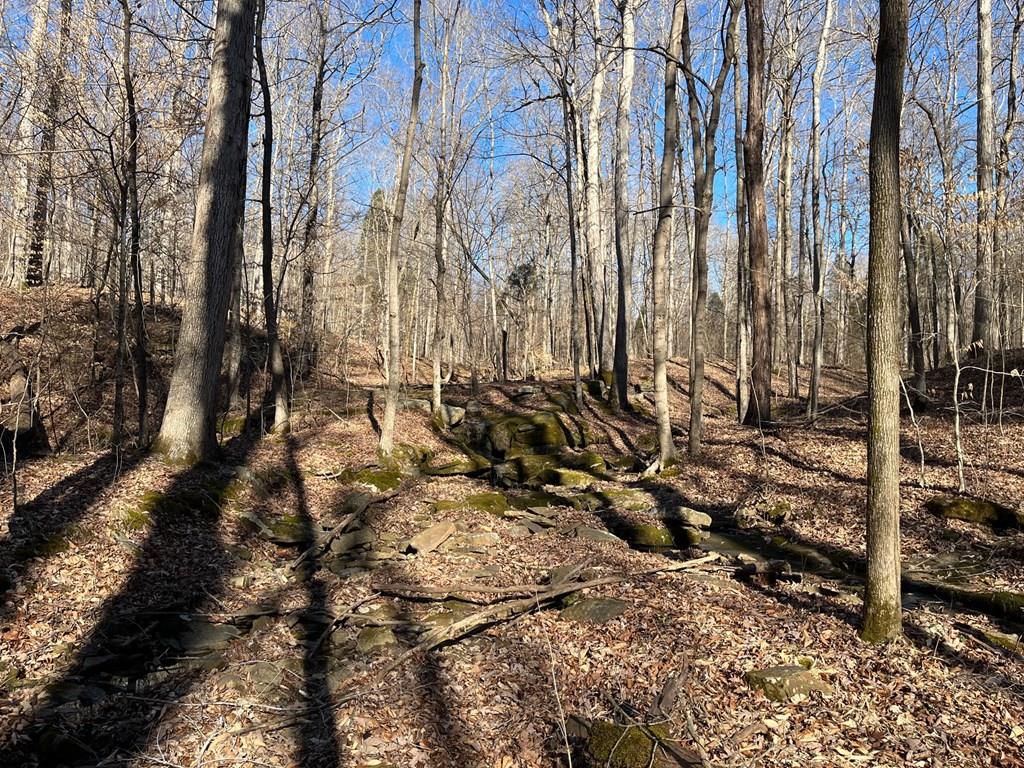 6000 HWY 60 E, Hawesville, Kentucky 42348, ,Land,For Sale,HWY 60 E,86806