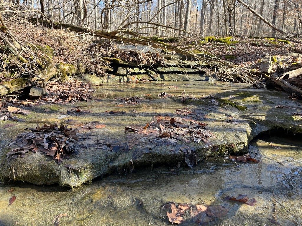 6000 HWY 60 E, Hawesville, Kentucky 42348, ,Land,For Sale,HWY 60 E,86806