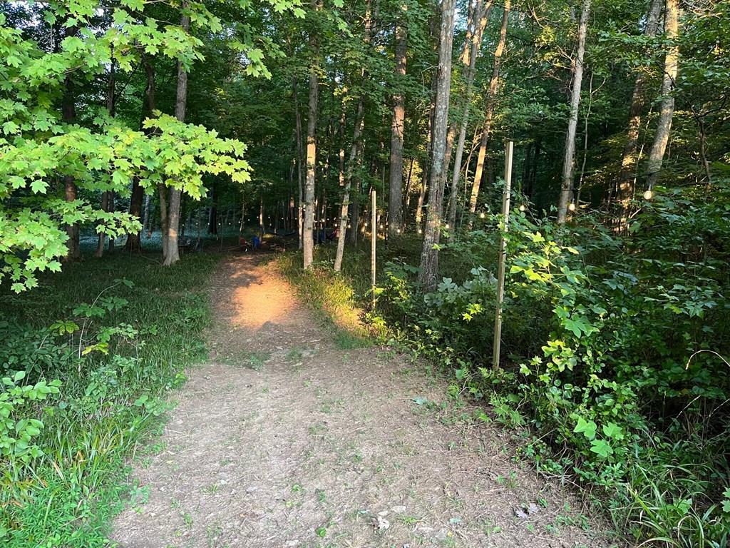 6000 HWY 60 E, Hawesville, Kentucky 42348, ,Land,For Sale,HWY 60 E,86806