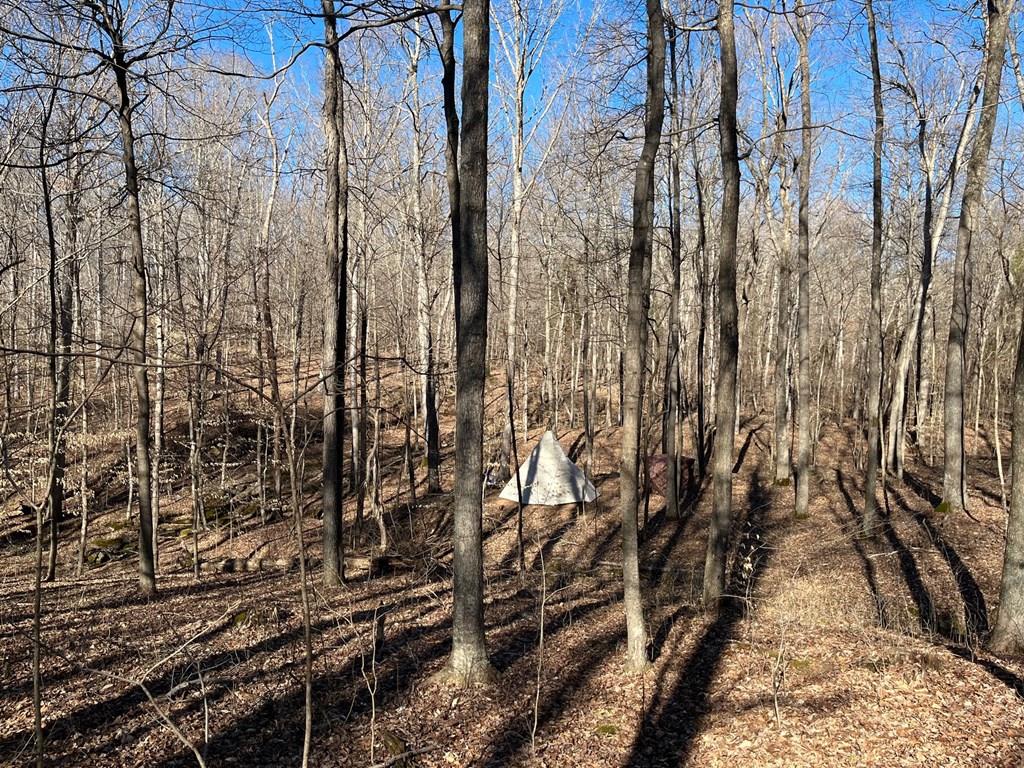 6000 HWY 60 E, Hawesville, Kentucky 42348, ,Land,For Sale,HWY 60 E,86806