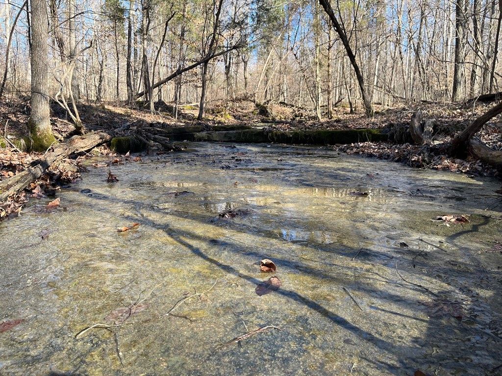 6000 HWY 60 E, Hawesville, Kentucky 42348, ,Land,For Sale,HWY 60 E,86806