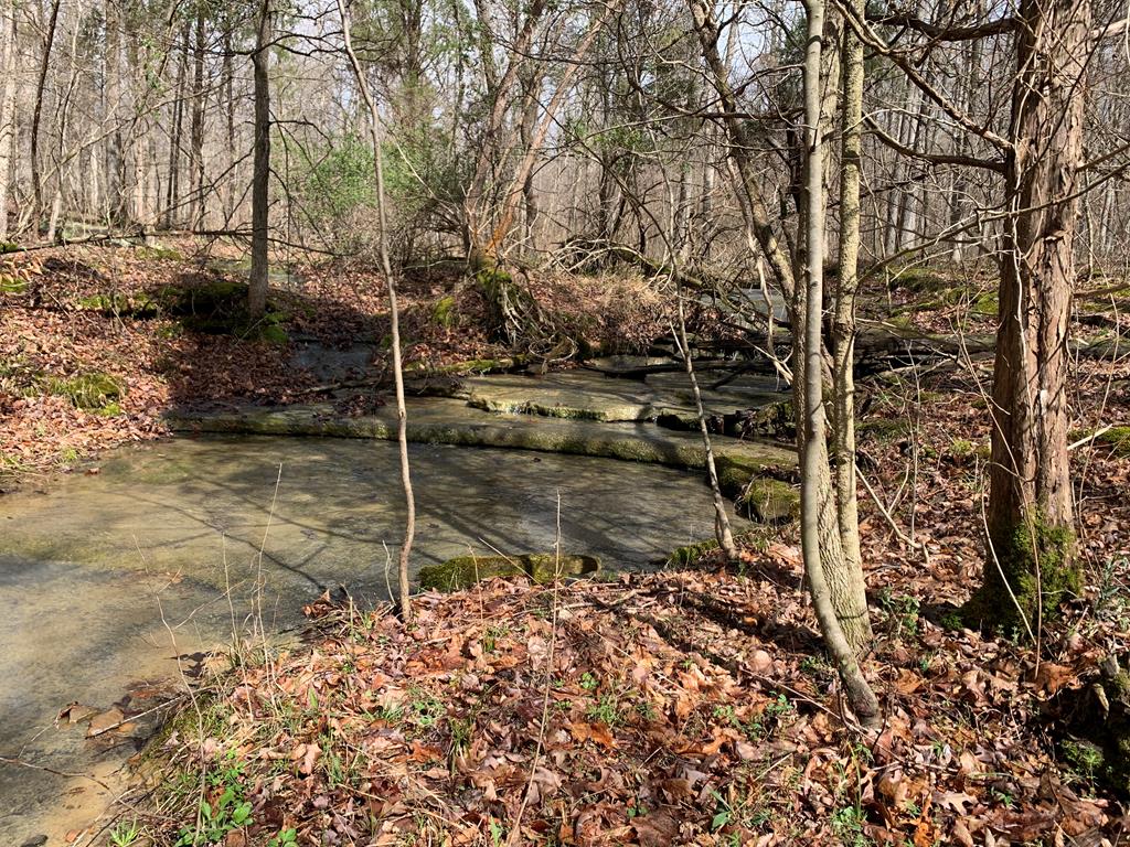 6000 HWY 60 E, Hawesville, Kentucky 42348, ,Land,For Sale,HWY 60 E,86806