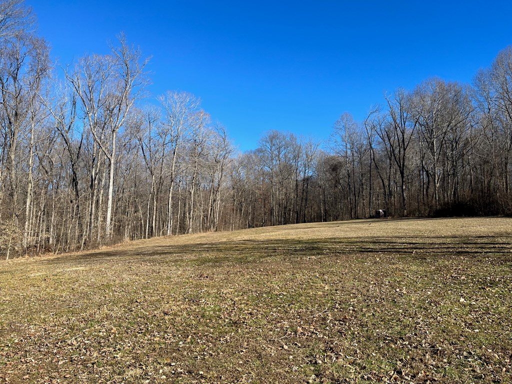 6000 HWY 60 E, Hawesville, Kentucky 42348, ,Land,For Sale,HWY 60 E,86806