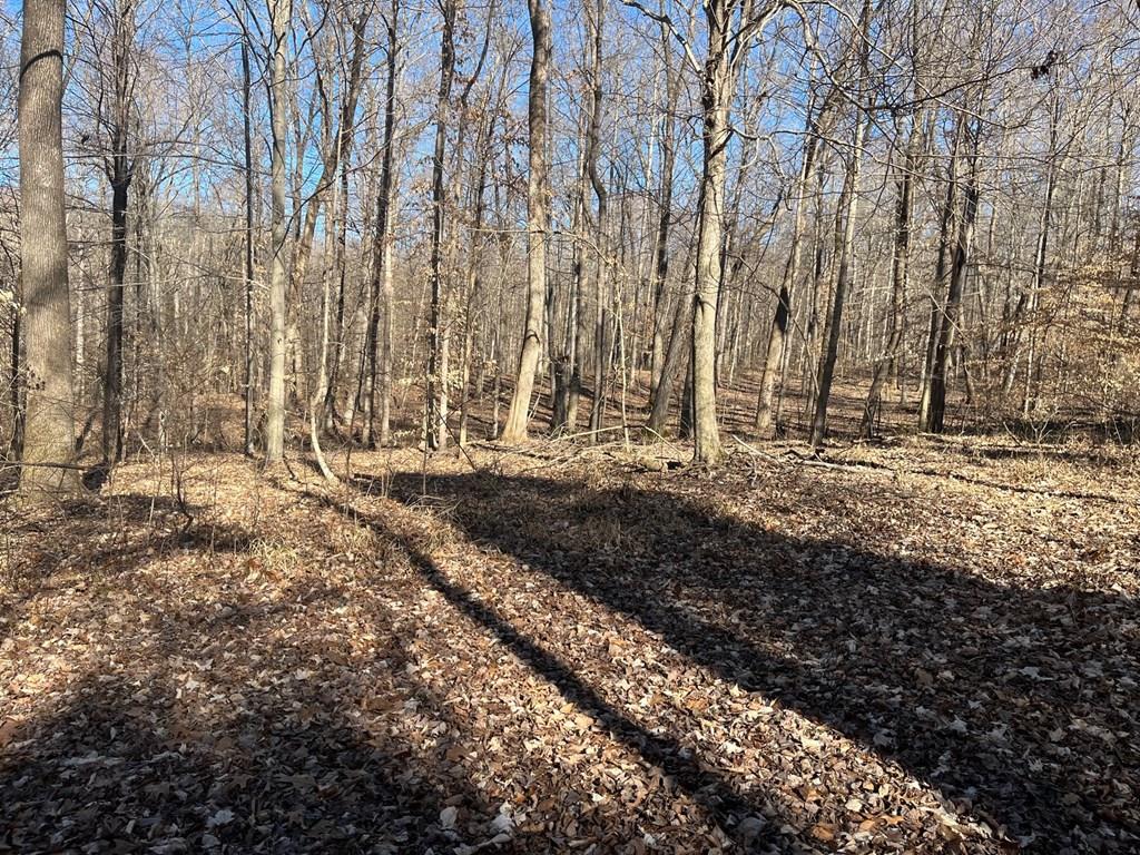6000 HWY 60 E, Hawesville, Kentucky 42348, ,Land,For Sale,HWY 60 E,86806