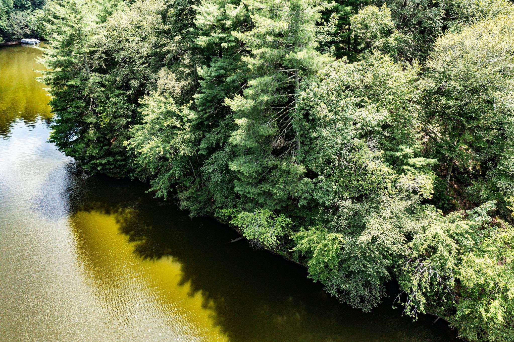 Lot 19 Breckenridge Loop, Lewisburg, Kentucky 42256, ,Land,For Sale,Breckenridge Loop,87104