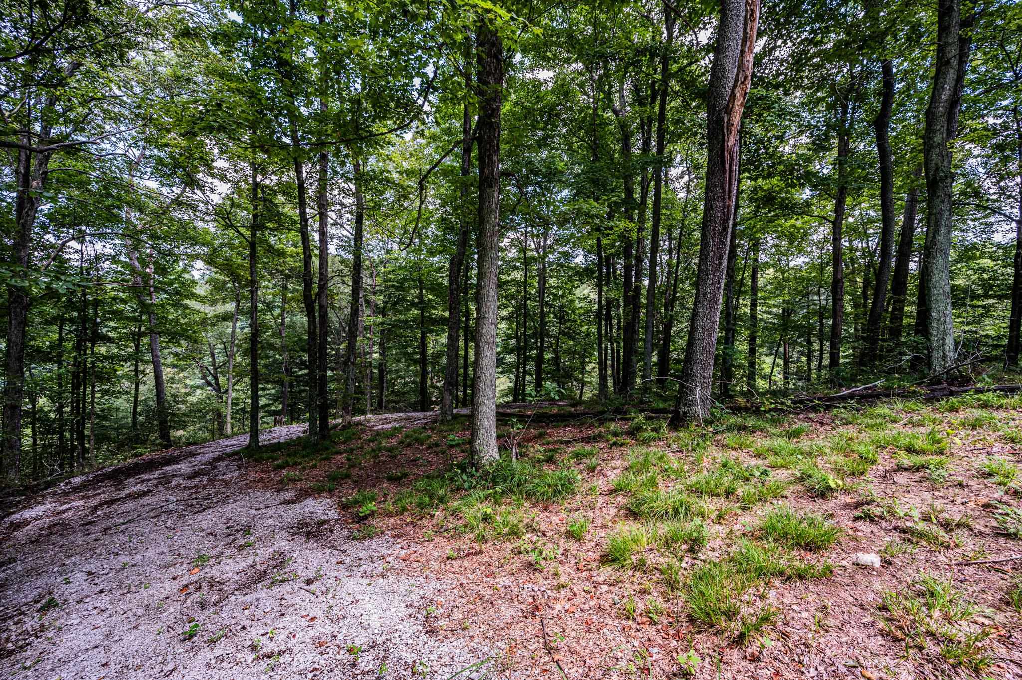 Lot 19 Breckenridge Loop, Lewisburg, Kentucky 42256, ,Land,For Sale,Breckenridge Loop,87104