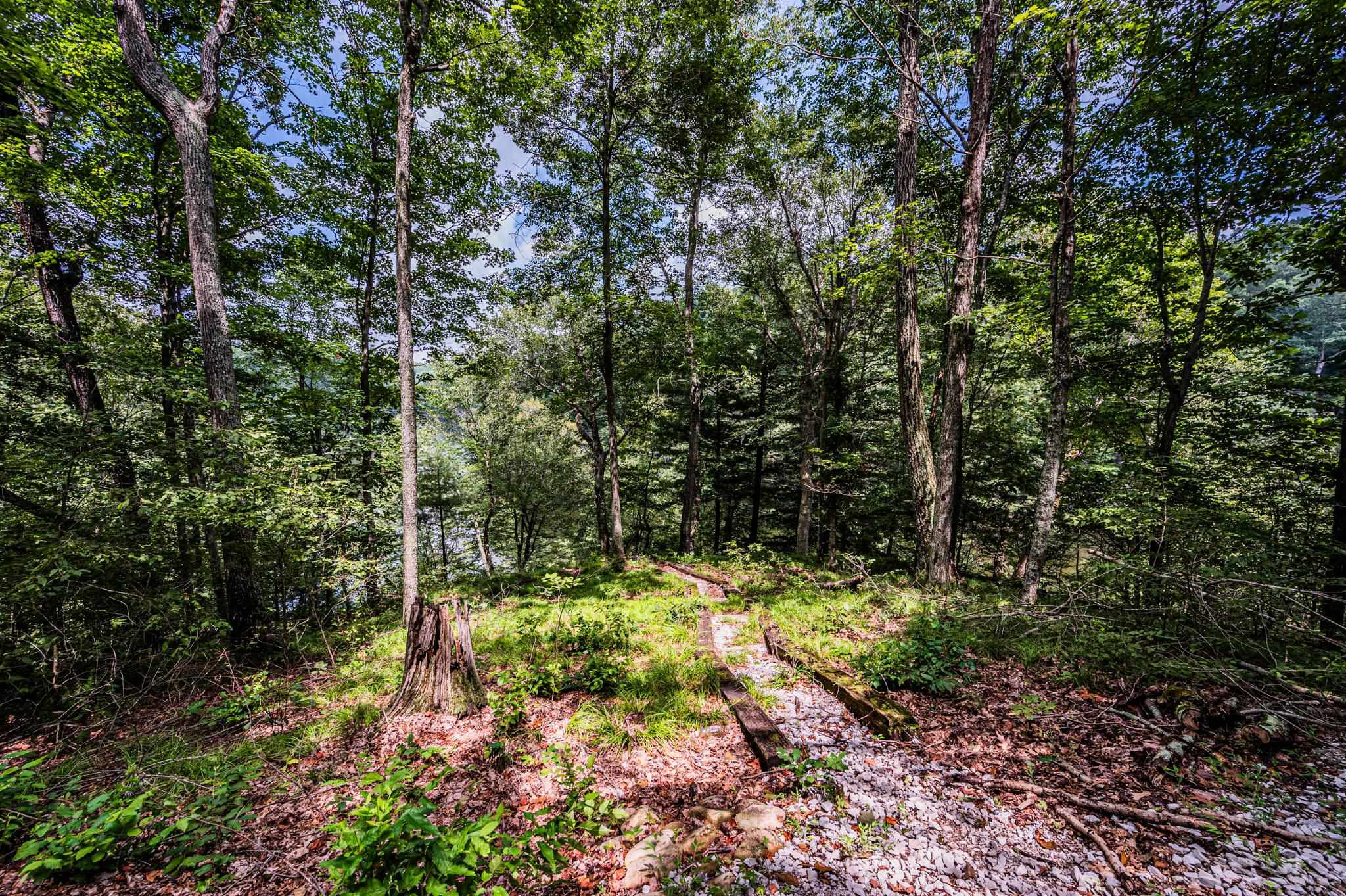 Lot 19 Breckenridge Loop, Lewisburg, Kentucky 42256, ,Land,For Sale,Breckenridge Loop,87104