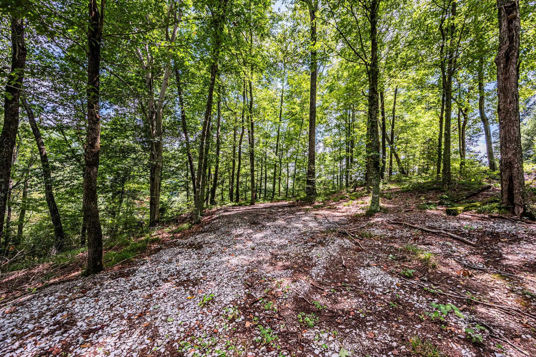 Lot 19 Breckenridge Loop, Lewisburg, Kentucky 42256, ,Land,For Sale,Breckenridge Loop,87104