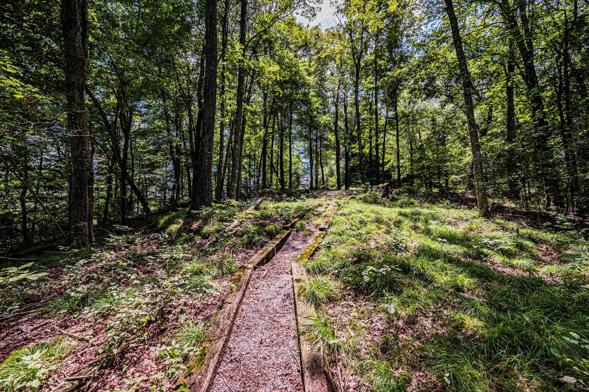 Lot 19 Breckenridge Loop, Lewisburg, Kentucky 42256, ,Land,For Sale,Breckenridge Loop,87104