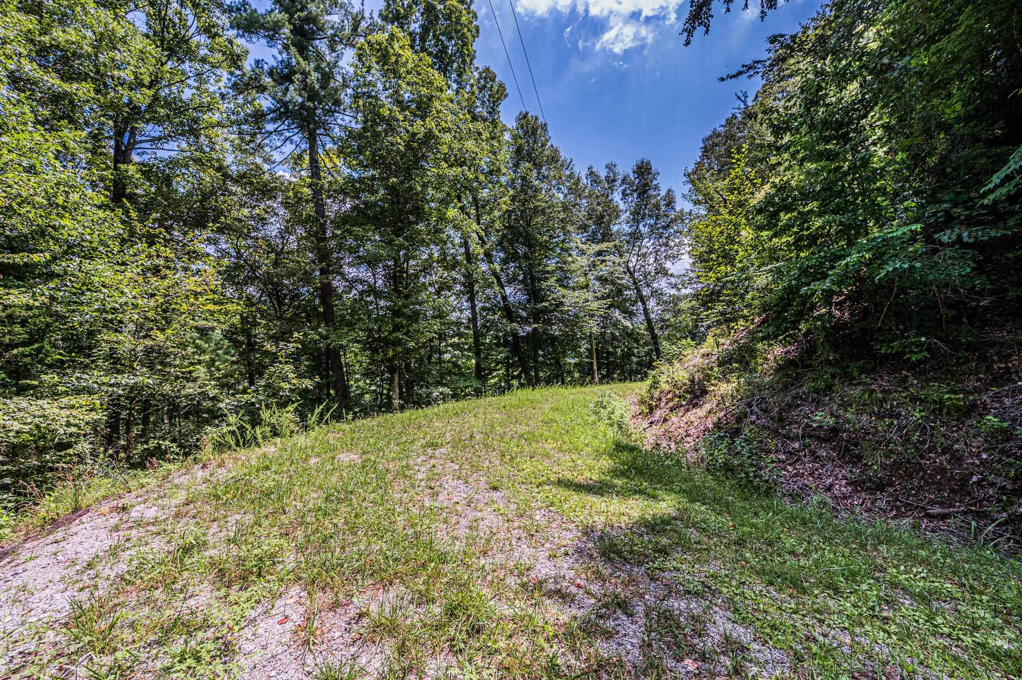 Lot 20 Breckenridge Loop, Lewisburg, Kentucky 42256, ,Land,For Sale,Breckenridge Loop,87105