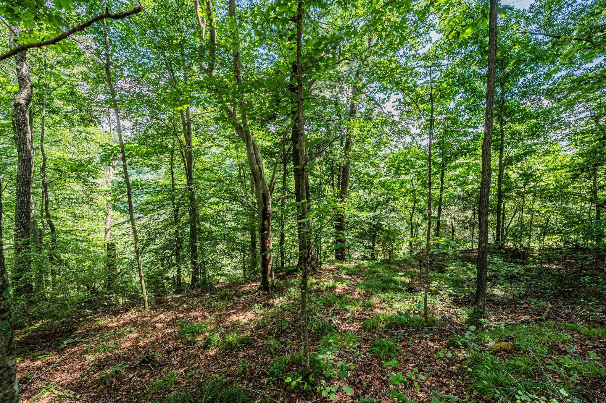 Lot 20 Breckenridge Loop, Lewisburg, Kentucky 42256, ,Land,For Sale,Breckenridge Loop,87105