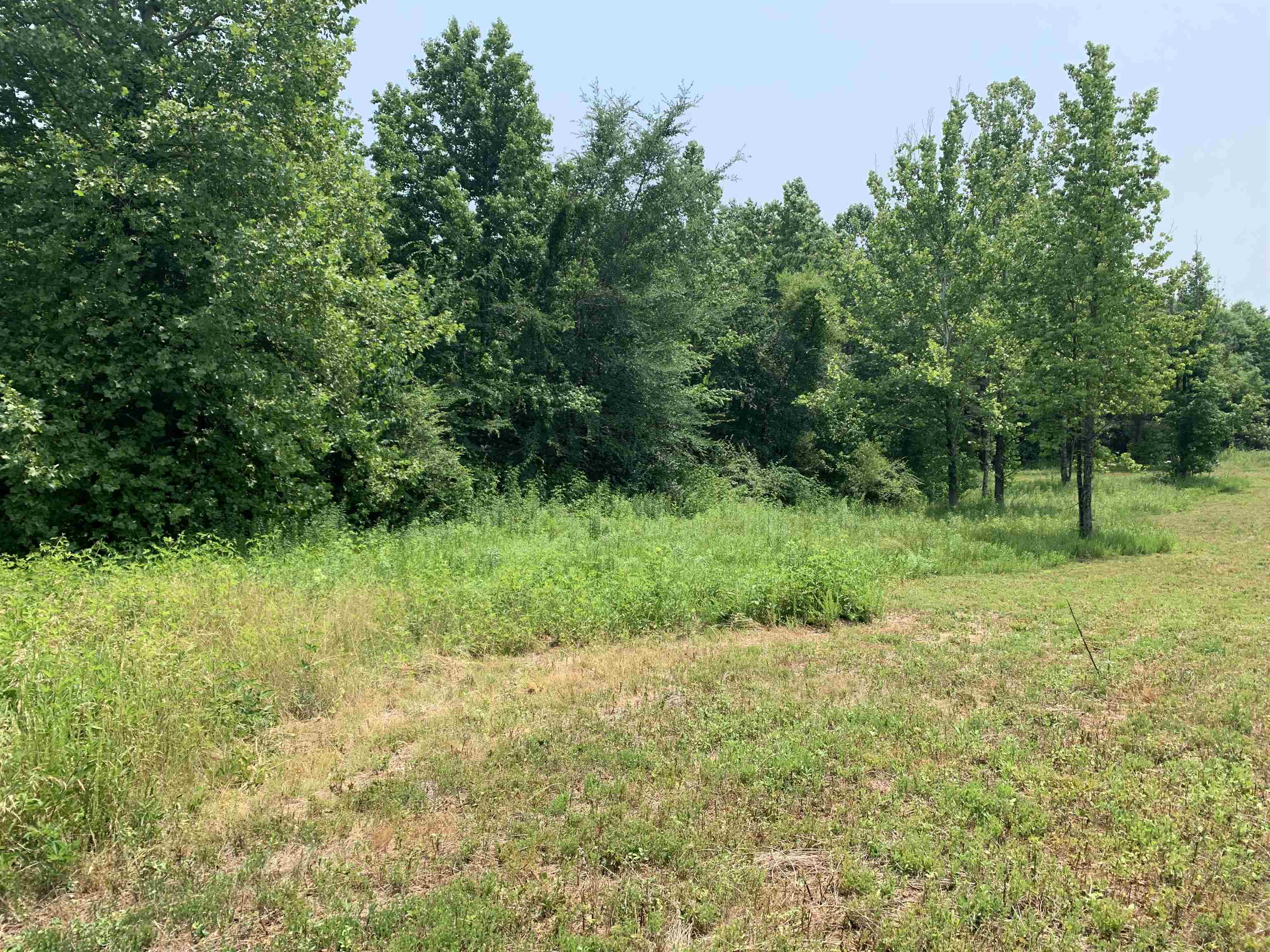 1004 Horton Spur, Beaver Dam, Kentucky 42320, ,Land,For Sale,Horton Spur,87264