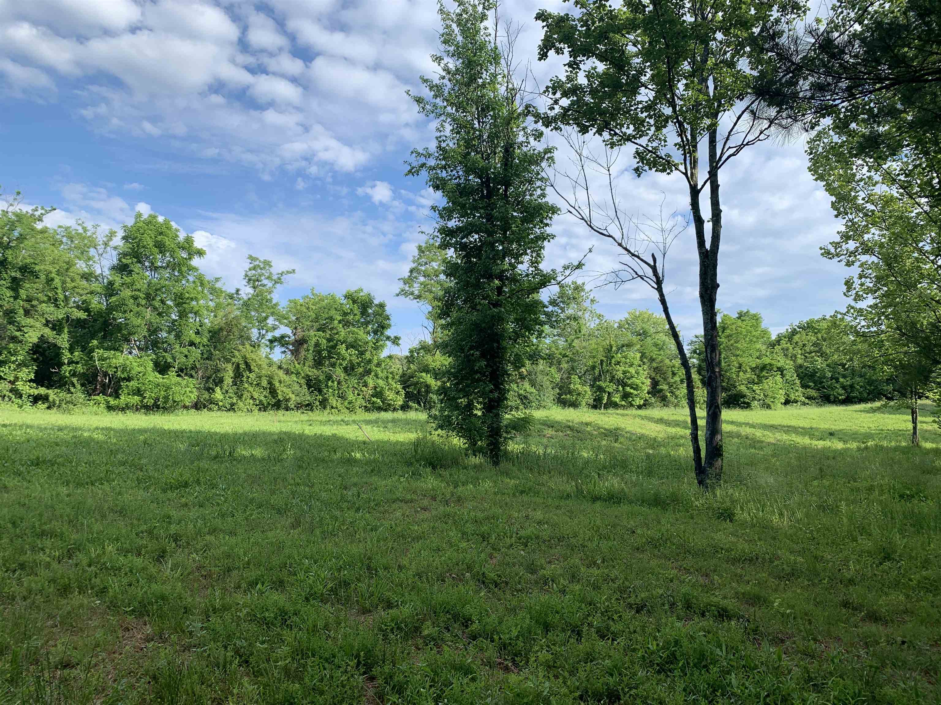 1004 Horton Spur, Beaver Dam, Kentucky 42320, ,Land,For Sale,Horton Spur,87264