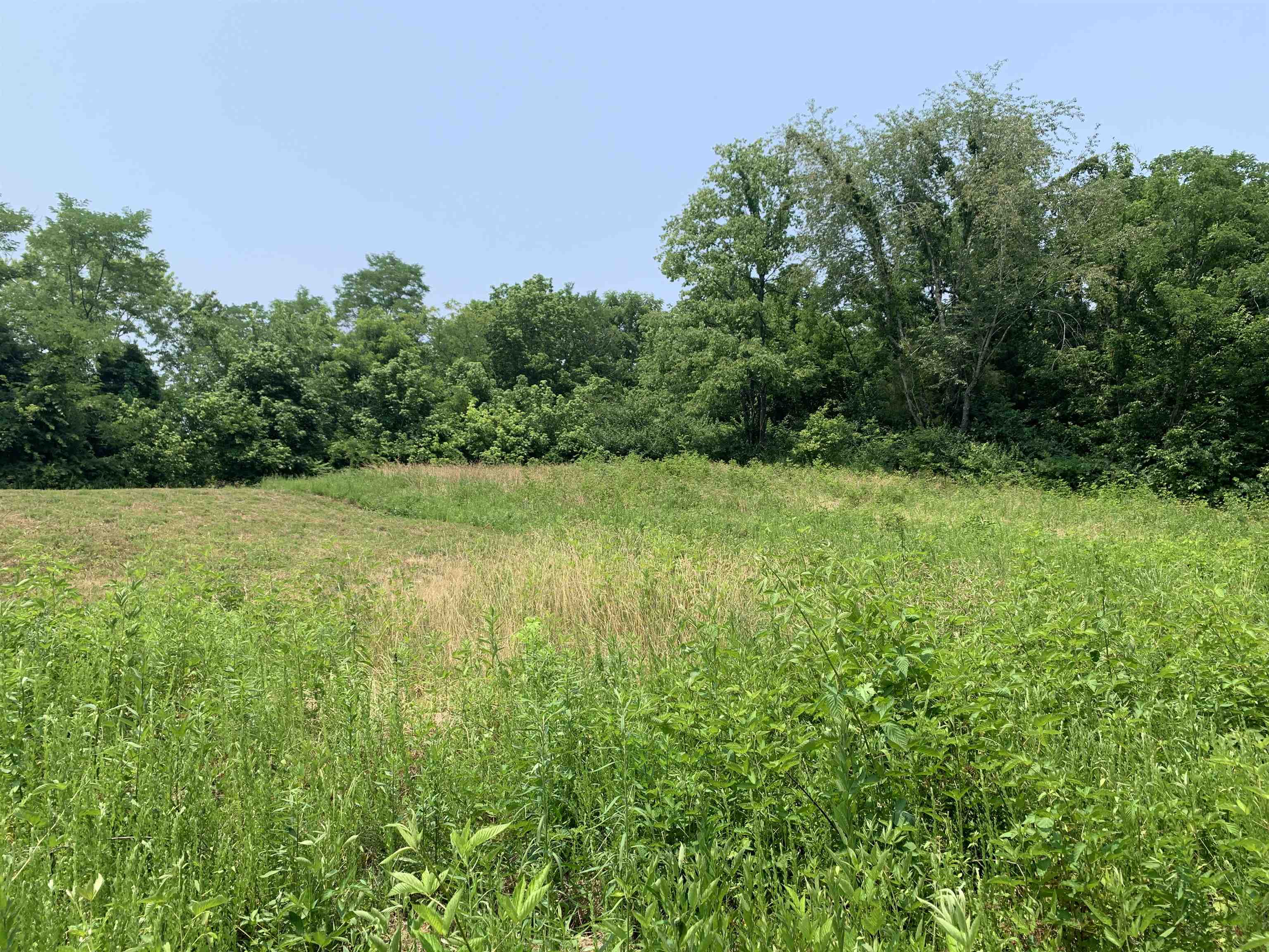 1004 Horton Spur, Beaver Dam, Kentucky 42320, ,Land,For Sale,Horton Spur,87264