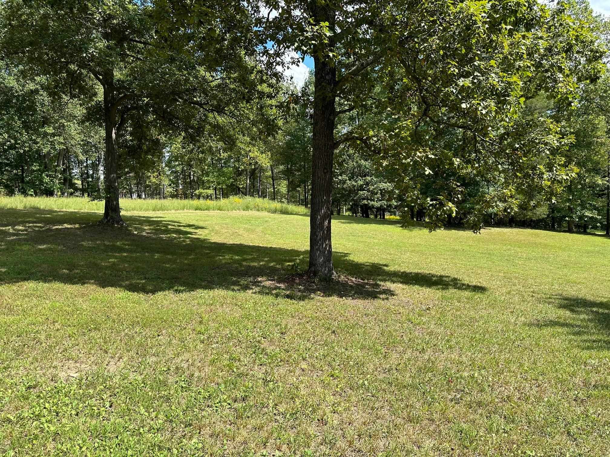 31 Odessa Dr., Utica, Kentucky 42376, ,Land,For Sale,Odessa Dr.,87315