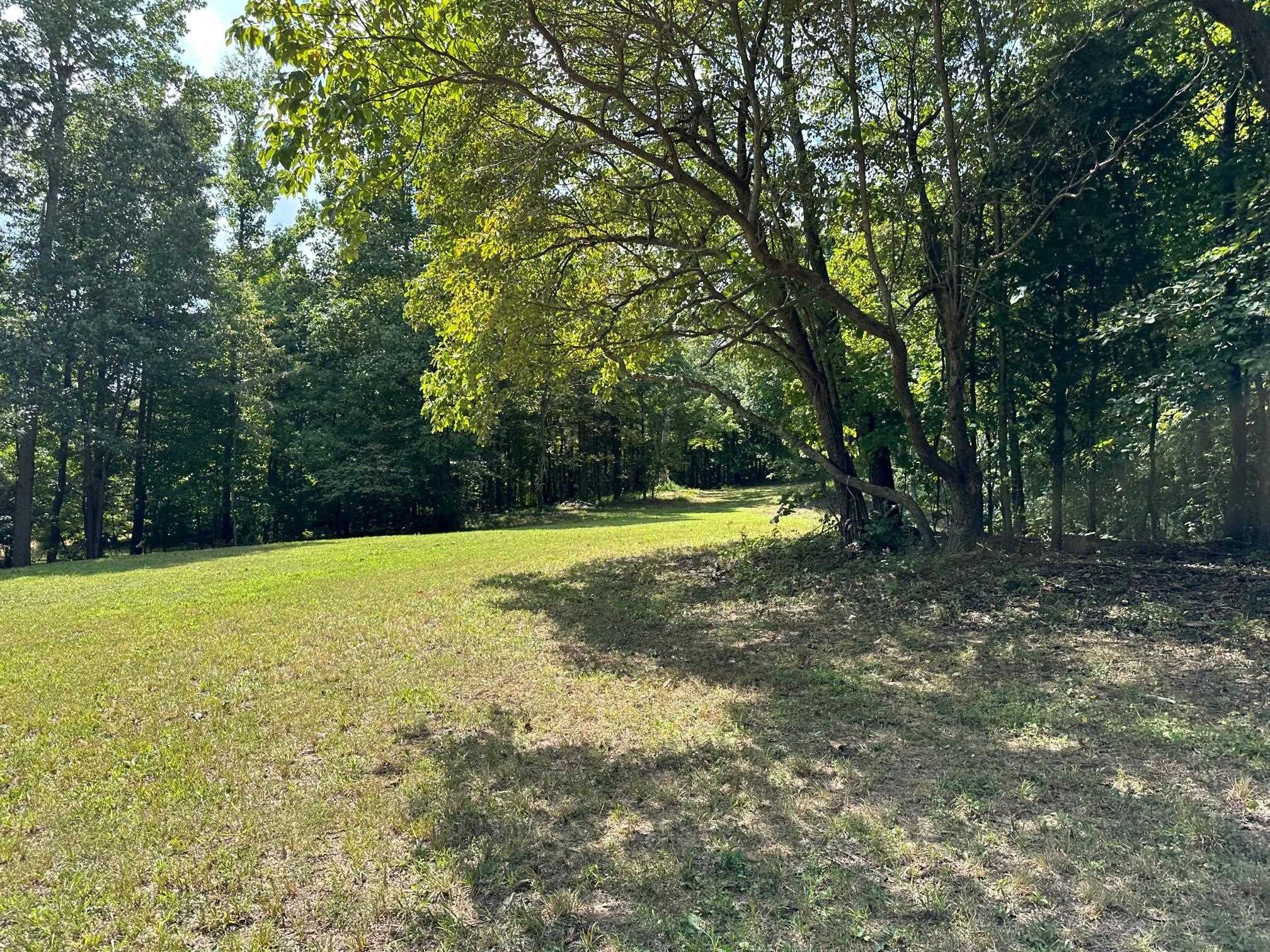 31 Odessa Dr., Utica, Kentucky 42376, ,Land,For Sale,Odessa Dr.,87315