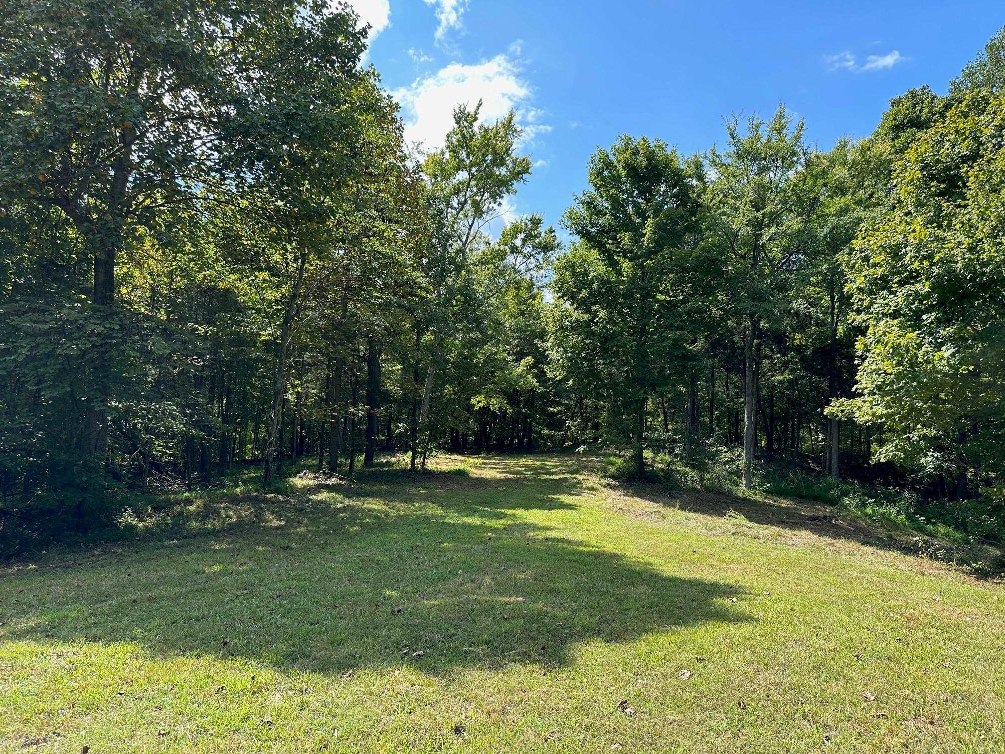 31 Odessa Dr., Utica, Kentucky 42376, ,Land,For Sale,Odessa Dr.,87315