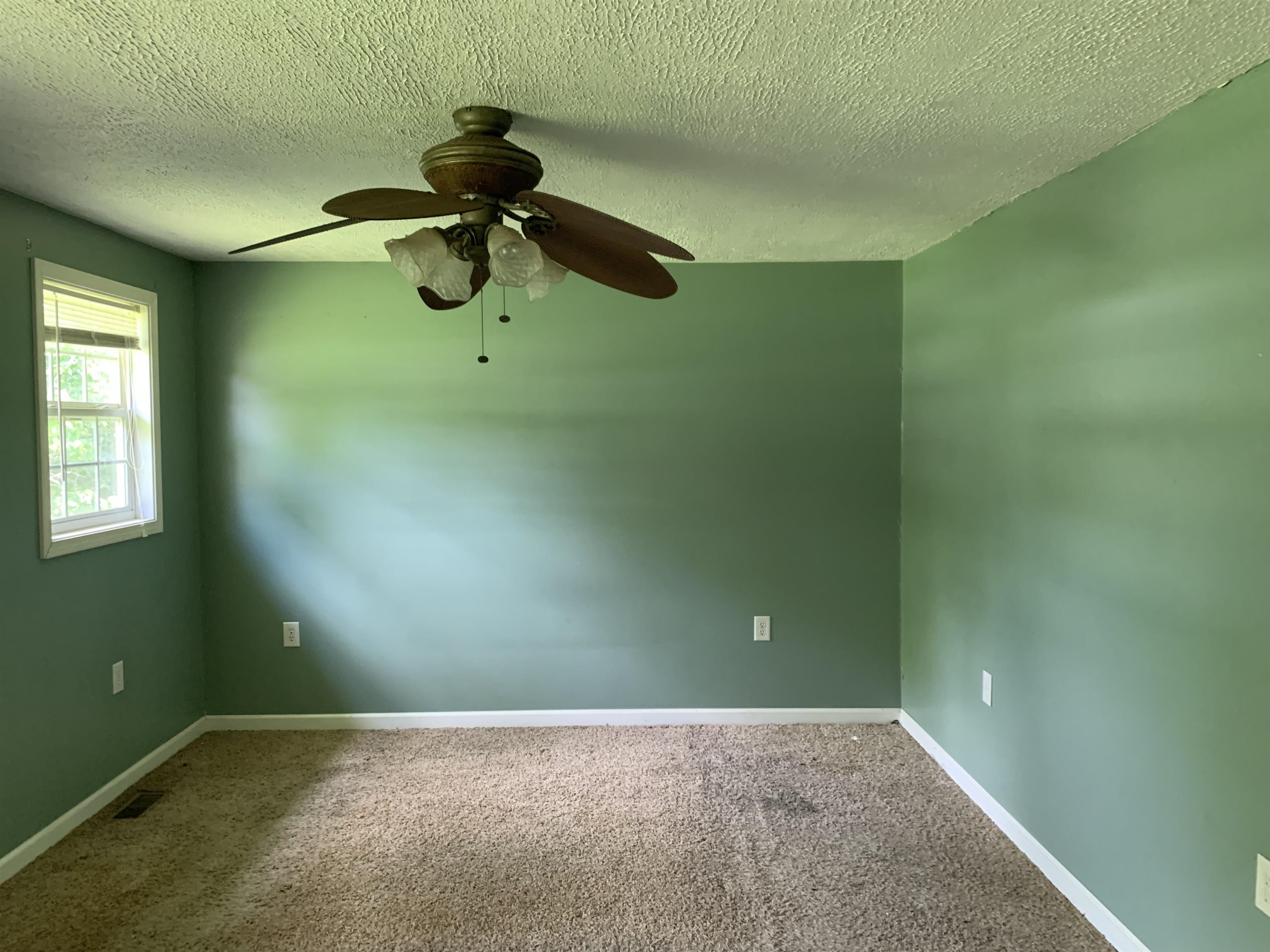 167 Nebo Lane, Greenville, Kentucky 42345, 3 Bedrooms Bedrooms, ,2 BathroomsBathrooms,Single Family Residence,For Sale,Nebo Lane,87341