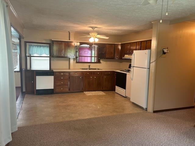 6600 Boston Laffoon Rd, Philpot, Kentucky 42366, 3 Bedrooms Bedrooms, ,1 BathroomBathrooms,Single Family Residence,For Sale,Boston Laffoon Rd,87410